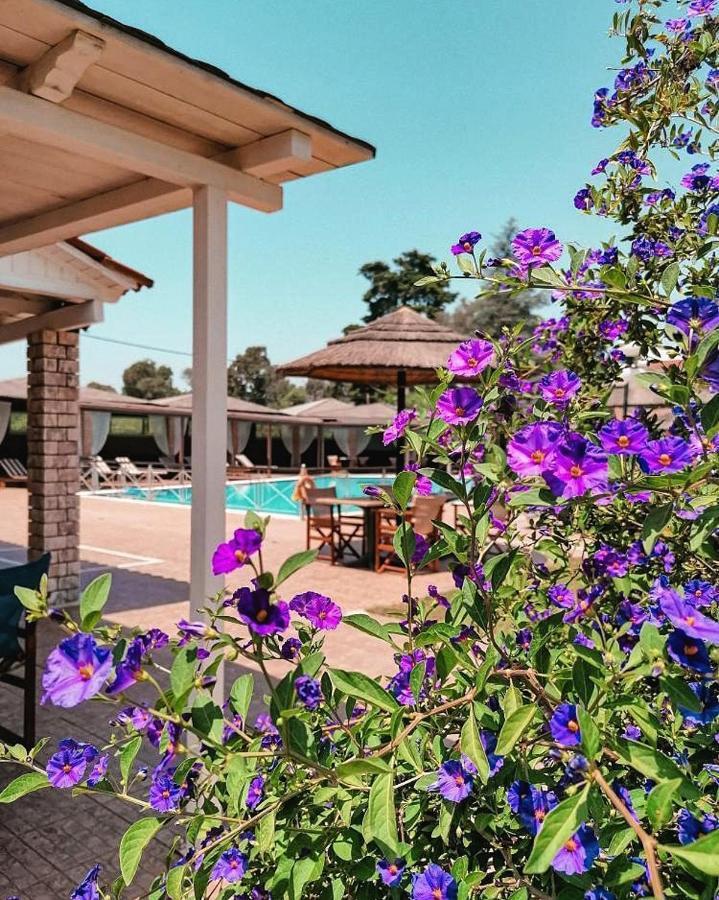 Hotel Kalamitsi Apartments Preveza Exterior photo